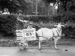 Goat Pulls Young Boys Cart in the Tacoma Festival - Art Print