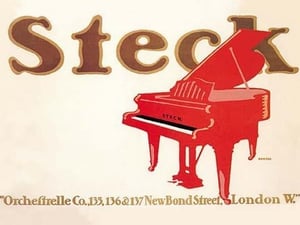 Steck - Art Print