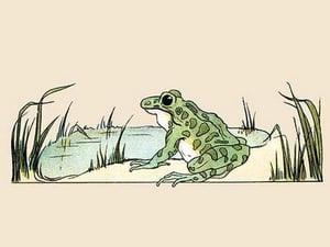 Pond Frog by Frances Beem - Art Print
