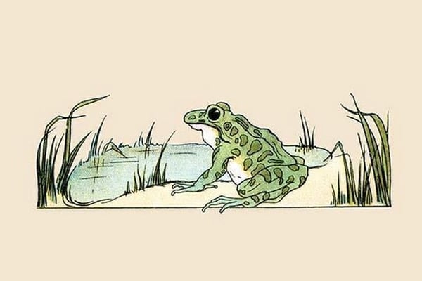 Pond Frog by Frances Beem - Art Print