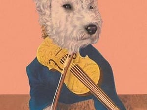 Dog with Violin - Art Print