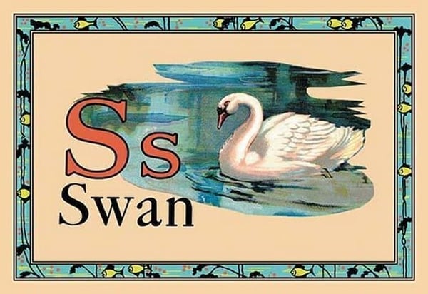 Swan - Art Print