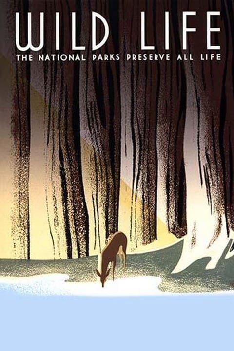 Wild Life by Frank S. Nicholson - Art Print