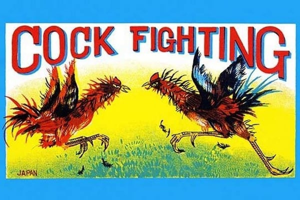 Cock Fighting - Art Print