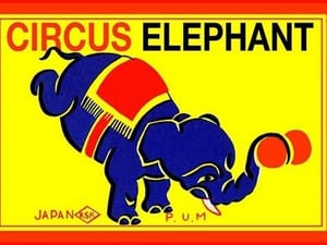 Circus Elephant - Art Print
