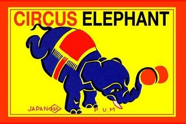 Circus Elephant - Art Print