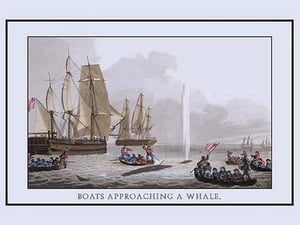 A Boat Approaching a Whale by J.H. Clark - Art Print
