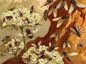 Bees by Friedrich Wilhelm Kuhnert - Art Print