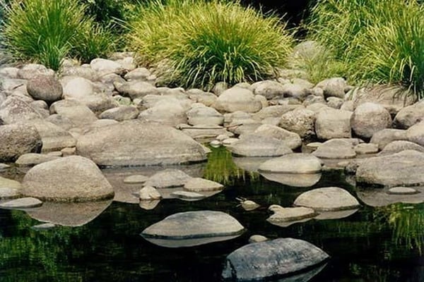 Billabong by Jason Pierce - Art Print