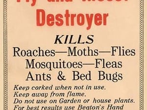 Beaton's Fly and Insect Destroyer - Art Print