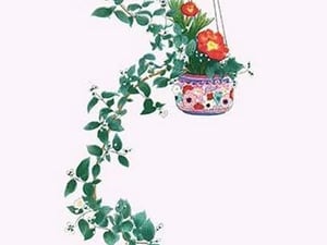 Uno-Hana and Shakuyaku (Scabra & Herbaceous Peony) in a suspended porcelain bowl by Josiah Conder - Art Print