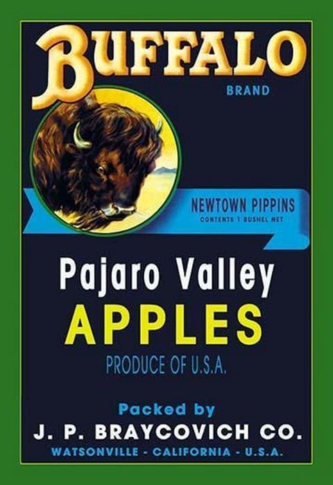 Buffalo Brand Apples - Art Print