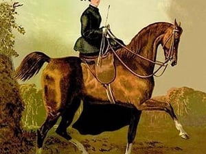 A Ladies' Horse by Samuel Sidney - Art Print