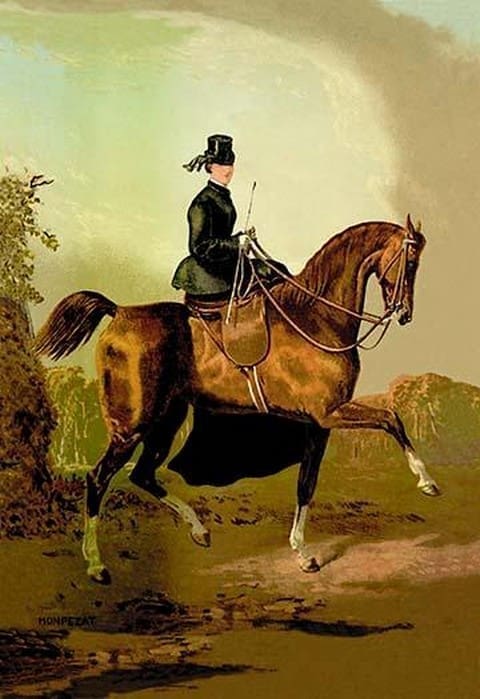 A Ladies' Horse by Samuel Sidney - Art Print