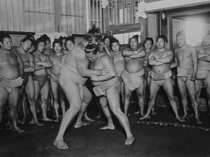 Sumo Wrestlers - Art Print