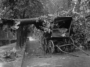 Large Tree Falls and Crushes Horse Drawn Wagon on Road - Art Print
