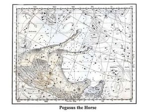 Pegasus the Horse by Alexander Jamieson - Art Print