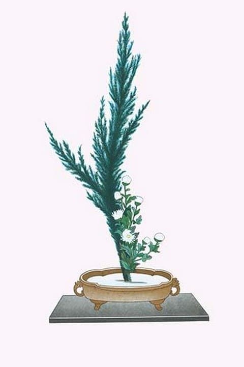 Ibuki & Shiragiku (Cypress & White Chrysanthemum leaves) in a Sunbachi by Josiah Conder #2 - Art Print