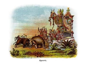 Sport - Mardi Gras Parade Float Design - Art Print