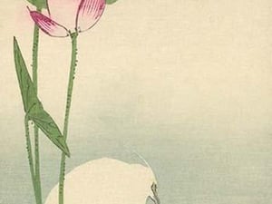 White heron and lotus by Baison - Art Print