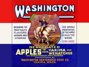 Washington Brand Dehydrated Apples - Art Print