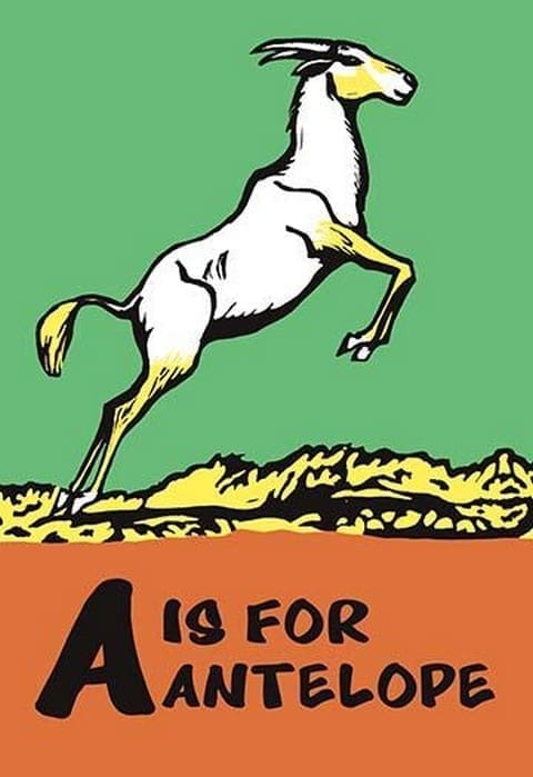 A is for Antelope by Charles Buckles Falls - Art Print