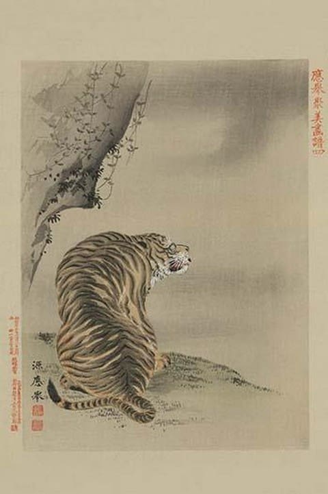 Tiger - Art Print