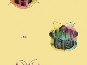 Beetles of Sumatra