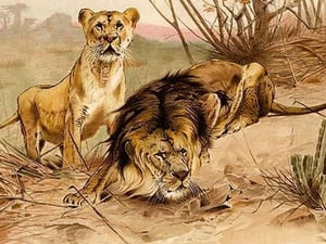 King of Beasts - Lions by Friedrich Wilhelm Kuhnert - Art Print