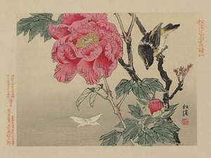 Bird watching a Butterfly - Art Print