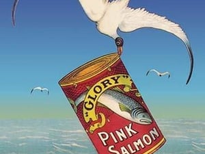 Glory Pink Salmon - Art Print