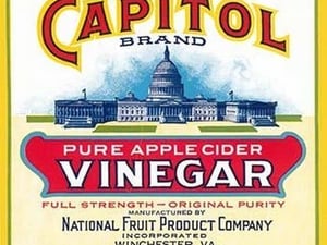 Capitol Brand Pure Apple Cider Vinegar - Art Print