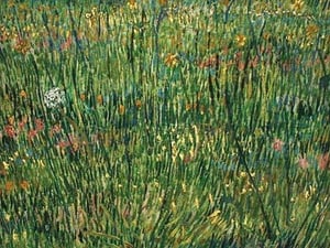 Patch of Grass by Vincent van Gogh - Art Print