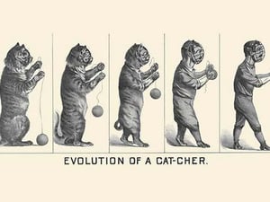 Evolution of a Cat-cher by H.S. Crocker & Co. - Art Print