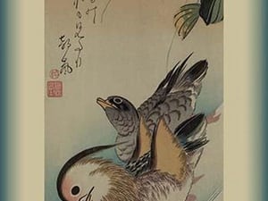 Mandarin ducks by Utagawa Hiroshige - Art Print