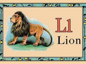 Lion - Art Print