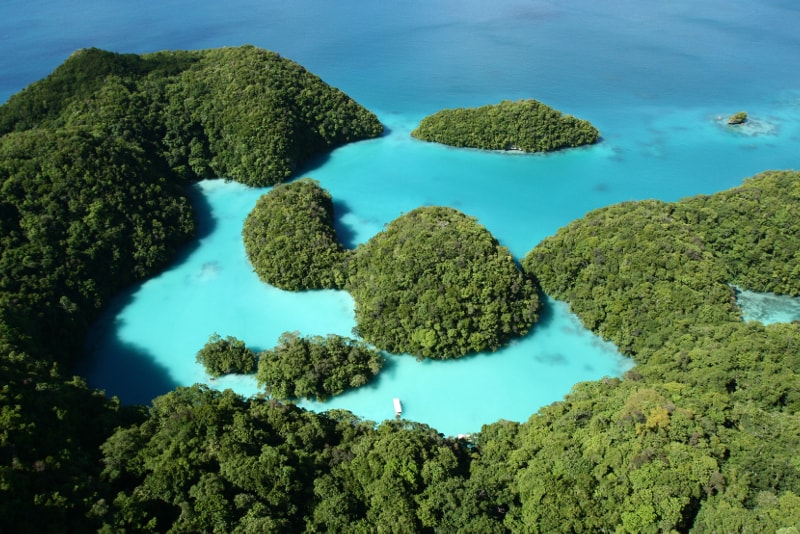 Palau islands - paradise islands you should visit 