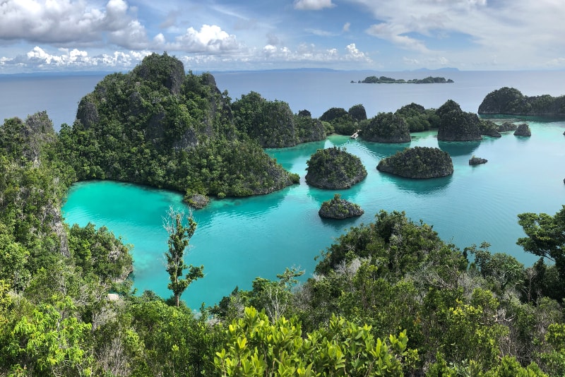 Raja Ampat islands - paradise islands you should visit 