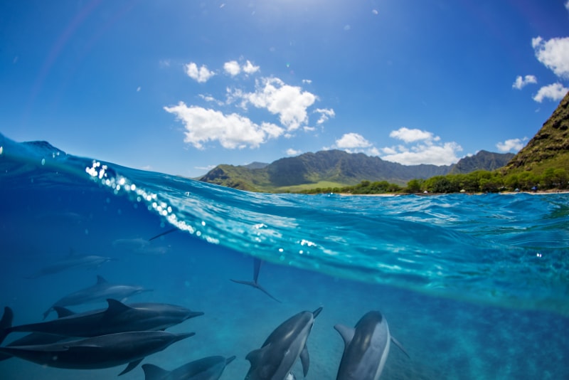 Reunion island - paradise islands you should visit 