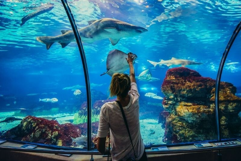 Barcelona-Aquarium