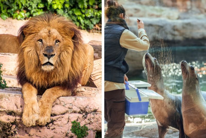 Barcelona Zoo