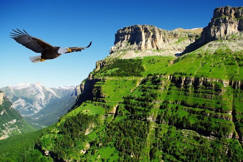 Excursion d'une journée dans les Pyrénées au départ de Barcelone