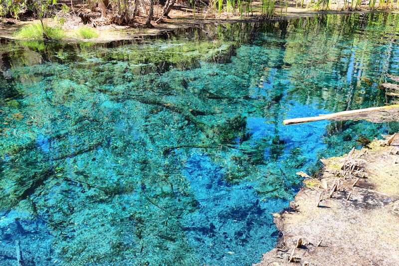 Mataranka Springs - Fun things to do in Australia