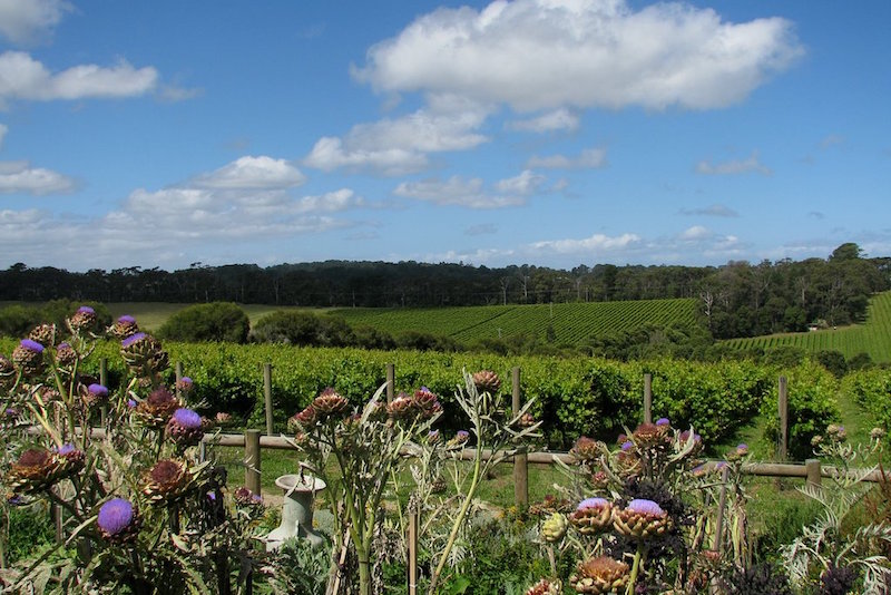 Mornington Peninsula - Que faire en Australie