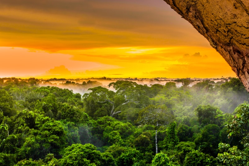 Amazon rainforest and River - Bucket List Ideas