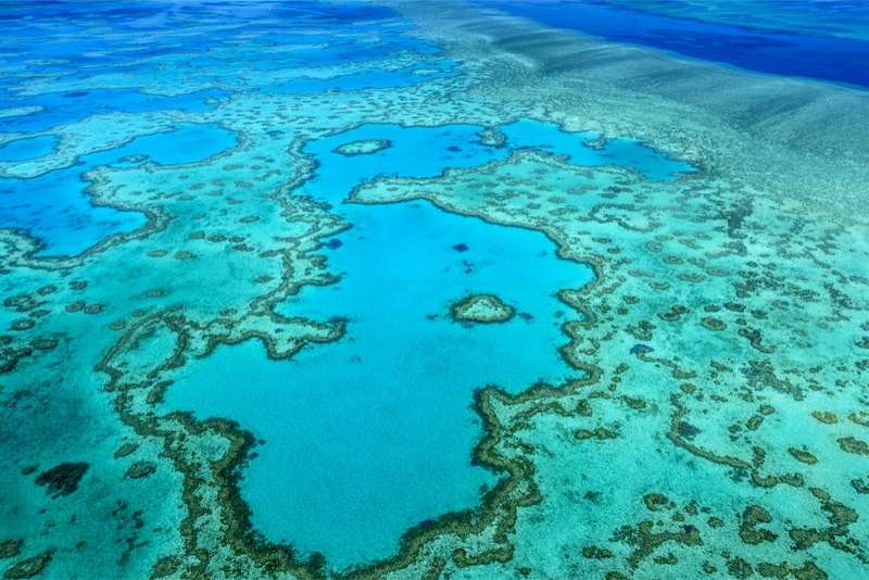 The Great Barrier Reef - Bucket List Ideas
