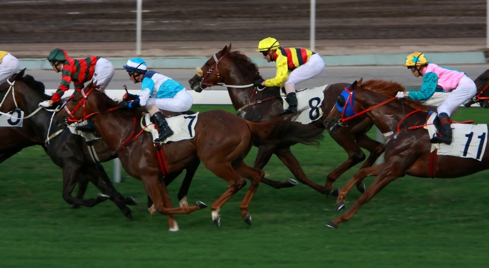 Courses de chevaux - Choses à Faire à Hong-Kong
