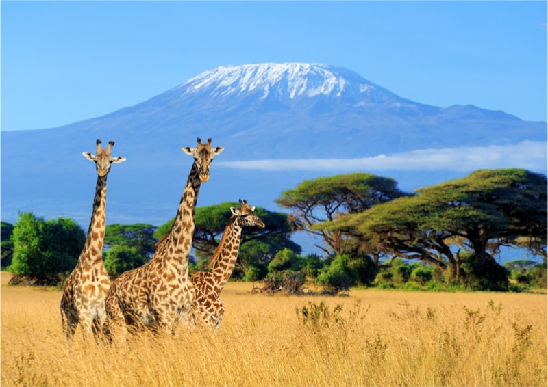 Kilimanjaro - Bucket List ideas