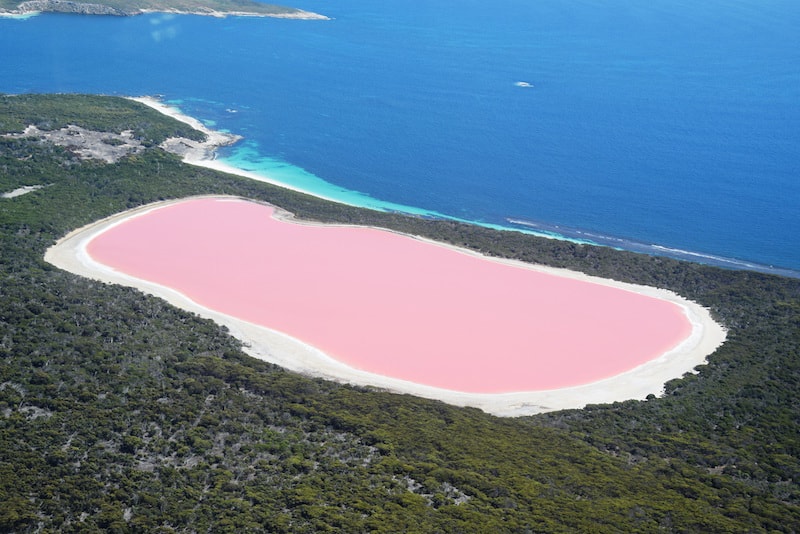 Middle Island - Que faire en Australie 