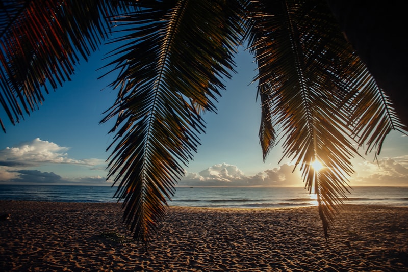 Arugam Bay Palm Sunrise - Places to Visit in Sri Lanka